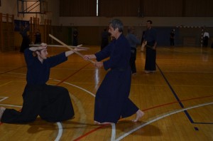 Kenjutsu